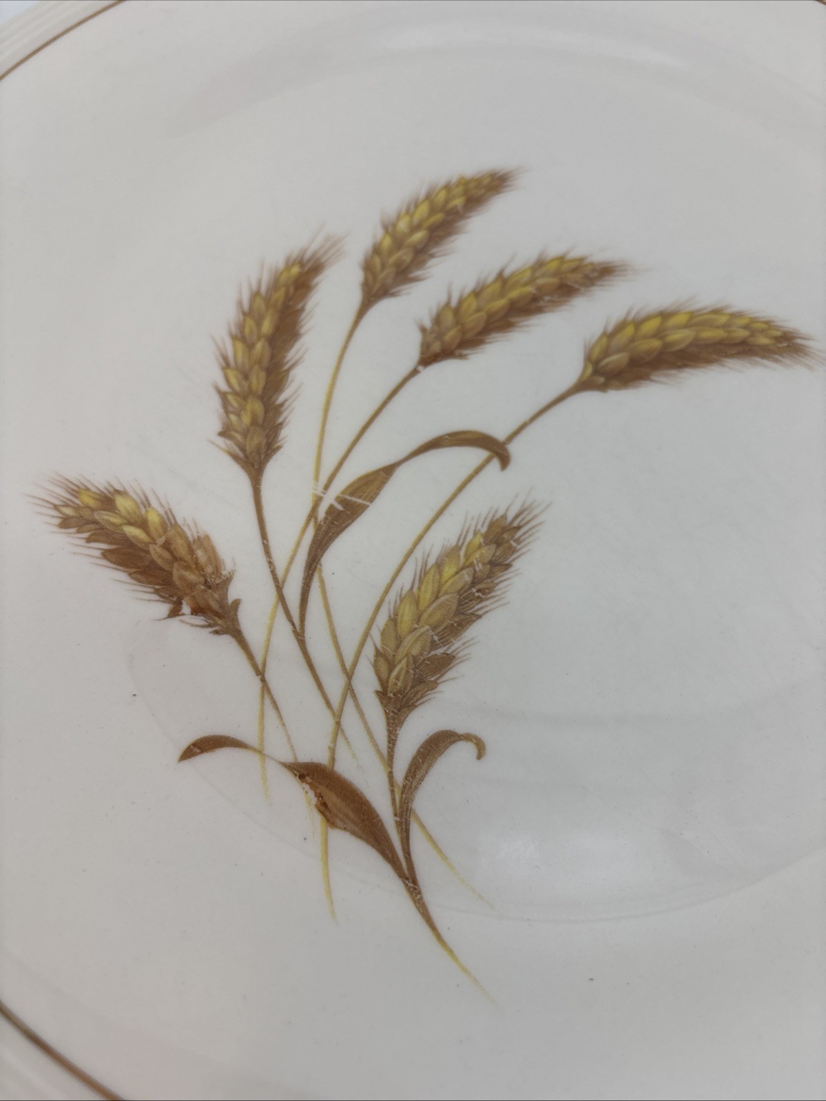Edwin Knowles China GOLDEN WHEAT set of 6 Dinner Plates 9 7/8″ Vintage EUC