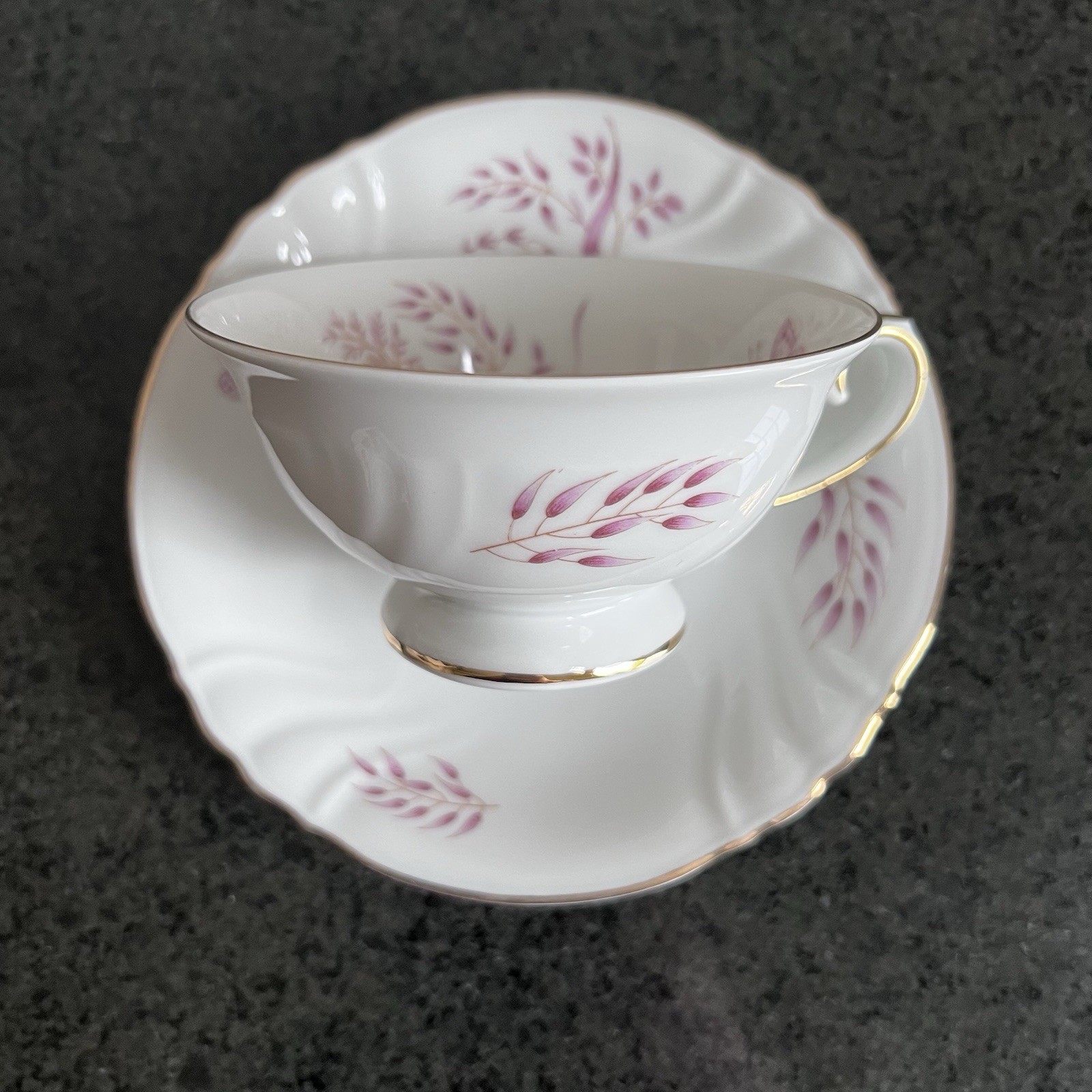 Thomas R Germany Porcelain Tea Cup, Saucer, Dessert Plate Trio Set of 5