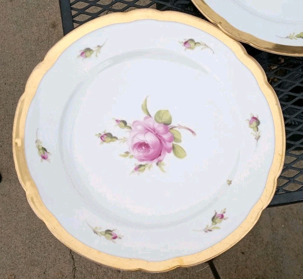 12 Antique Helena Wolfsohn DRESDEN ROSE Porcelain Dinner Plate OVINGTON BROS NY