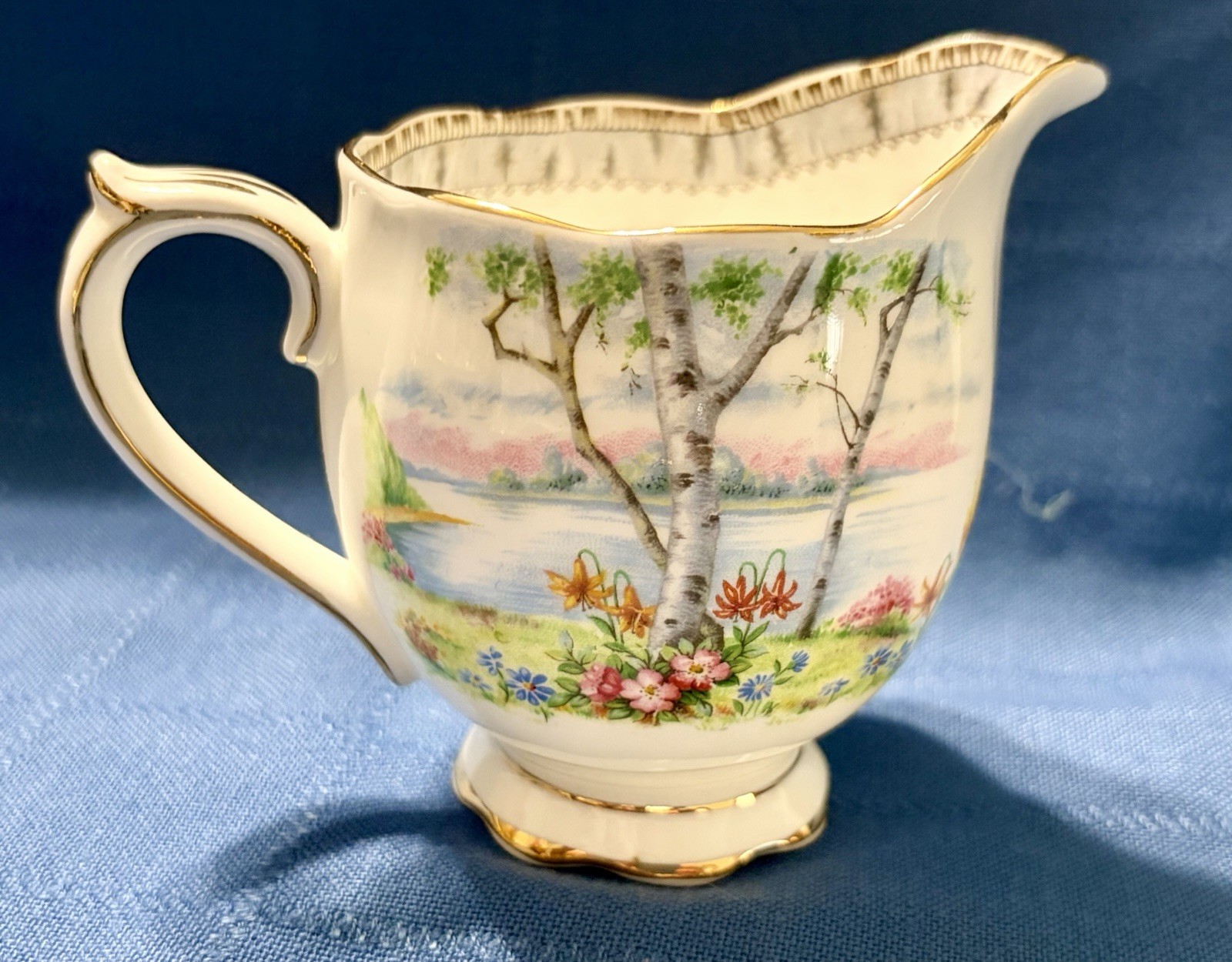 Royal Albert Silver Birch Cake Set for 6 Handled Plate C&S Cups & Saucers Plates