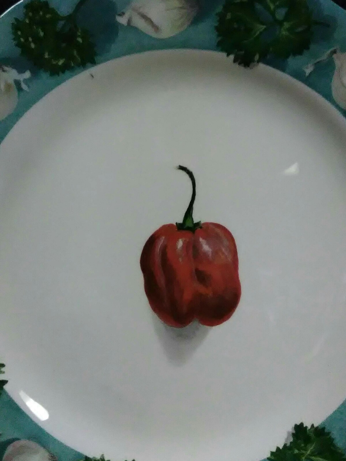 Vtg.Gien Poivre et Sel France Turquoise Border Red Pepper w/Shallots Salad Plate