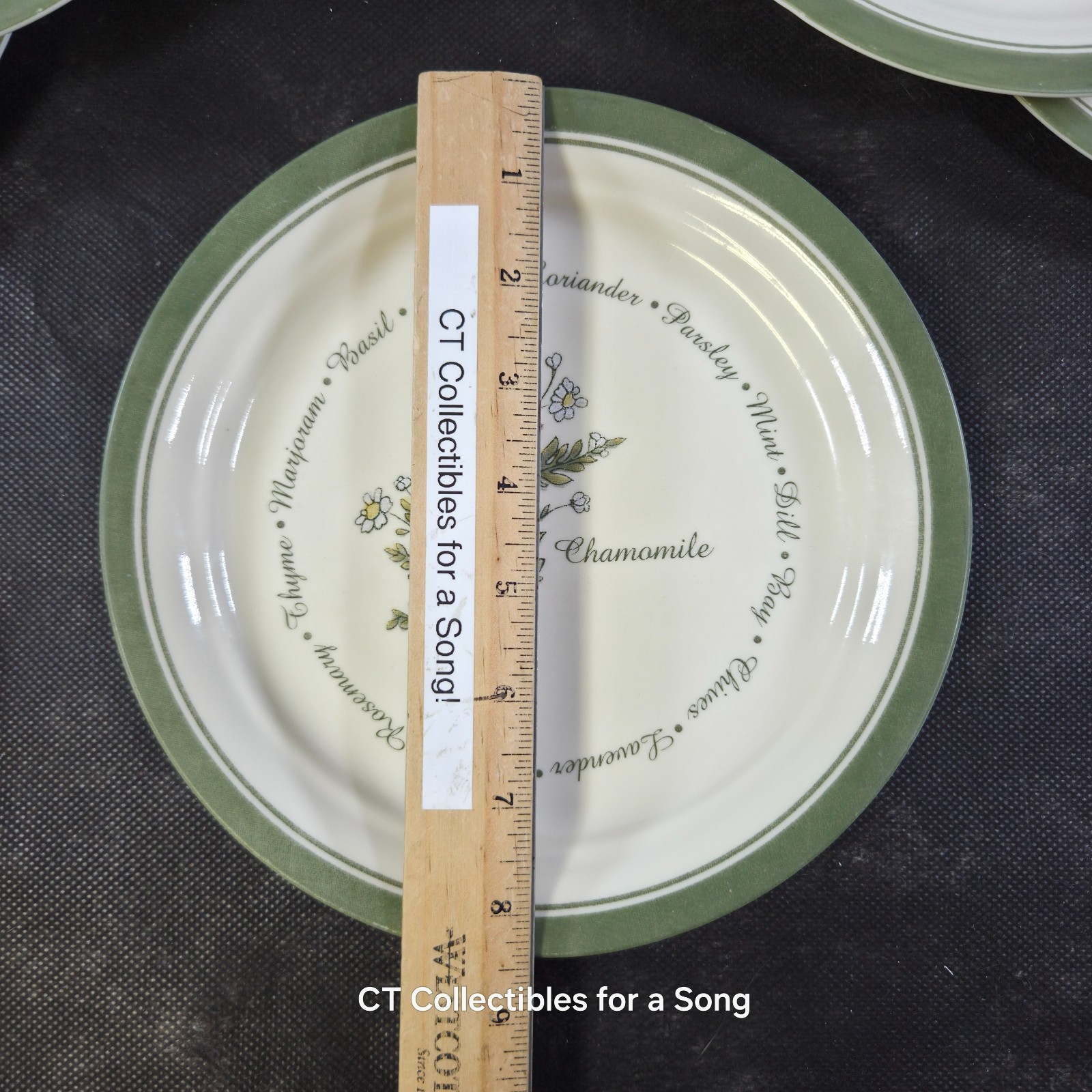 VTG Set 12 Corelle Thymeless Herbs Luncheon/Salad Plates 8 1/2″ Green