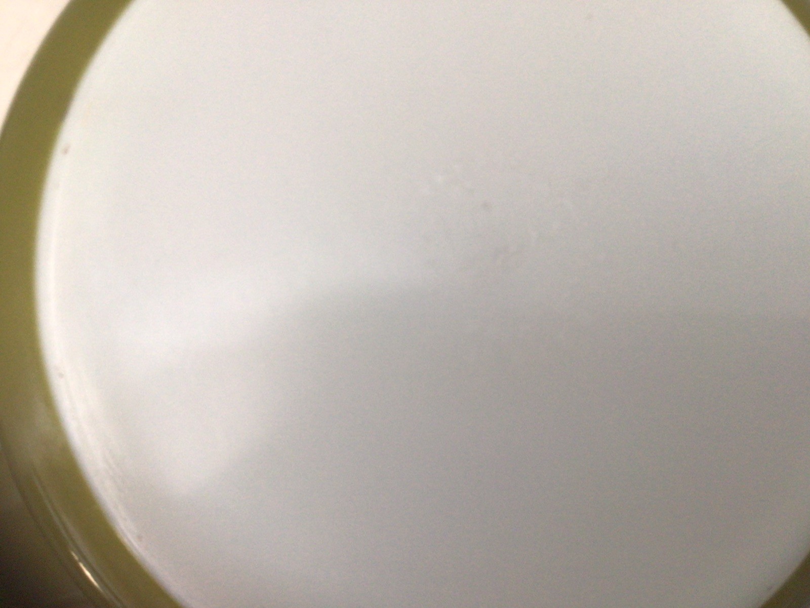 Vintage Pyrex Spring Blossom Crazy Daisy Nesting 2 1/2 Quart Casserole Dish 475B