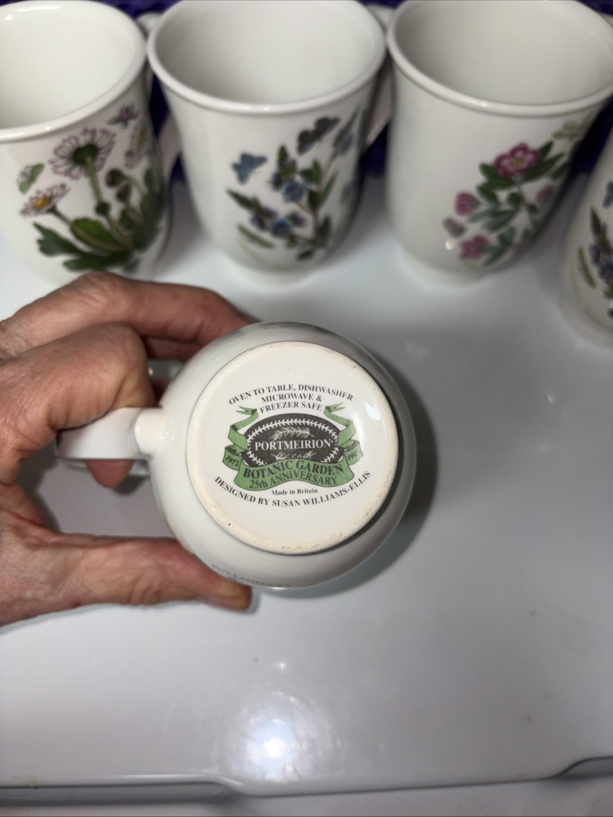 portmeirion botanic garden Mugs (5)