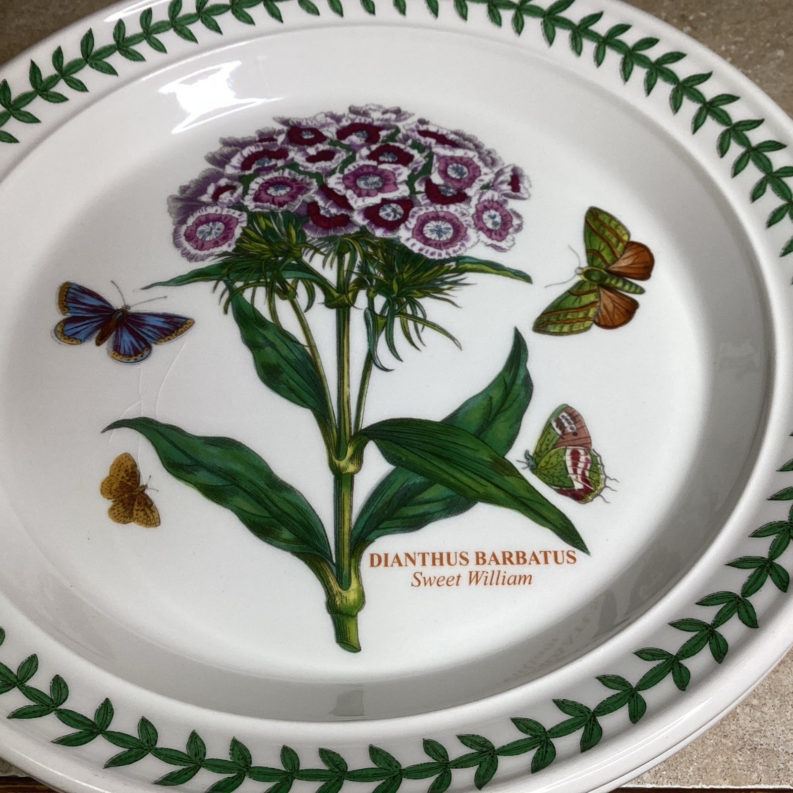 SET OF 4 Portmeirion BOTANIC GARDEN 8 1/2” Salad Plates – Assorted-new