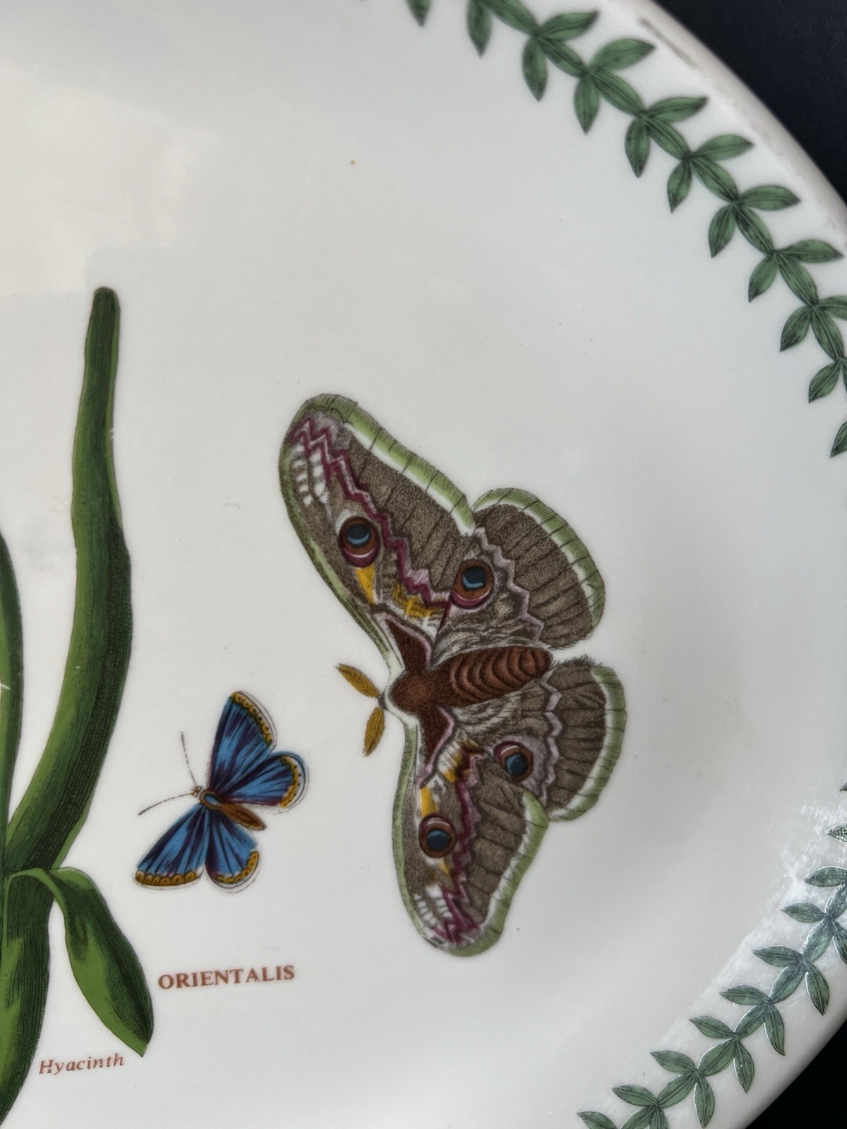 2- Portmeirion Botanic Oval Serving Platters Hyacinthus & Treasure Flower 12.75″