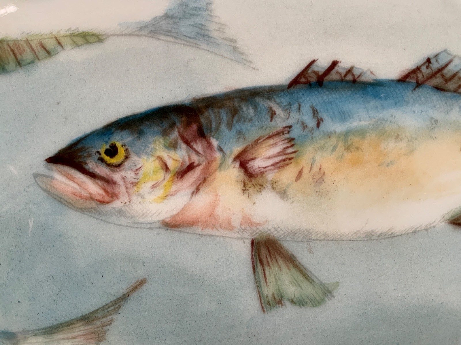 LAVIOLETTE ELITE LIMOGES FISH PLATTER & PLATE SET C.1896-1905 HIGGINS & SEITER