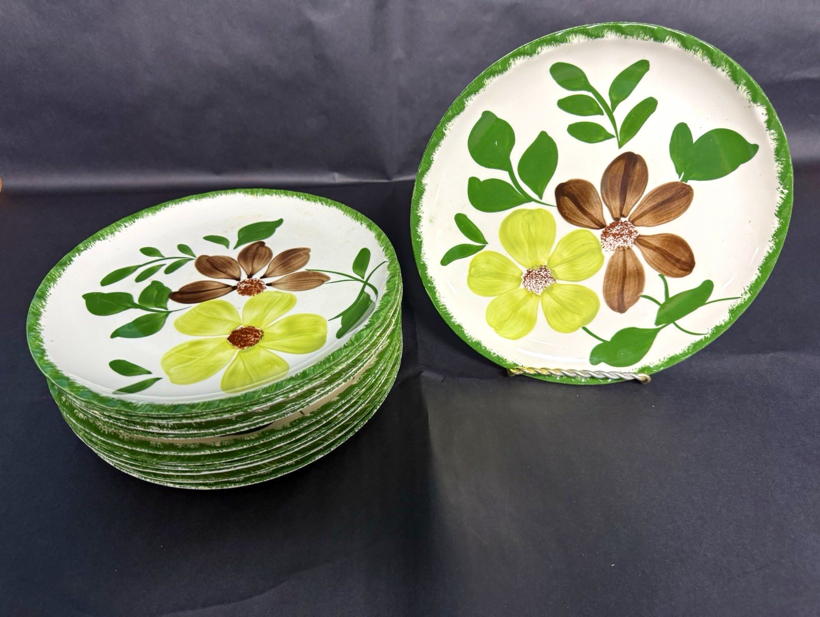 Blue Ridge Floral Ceramic Round Plate, Greenbriar Pattern, 11 pc set