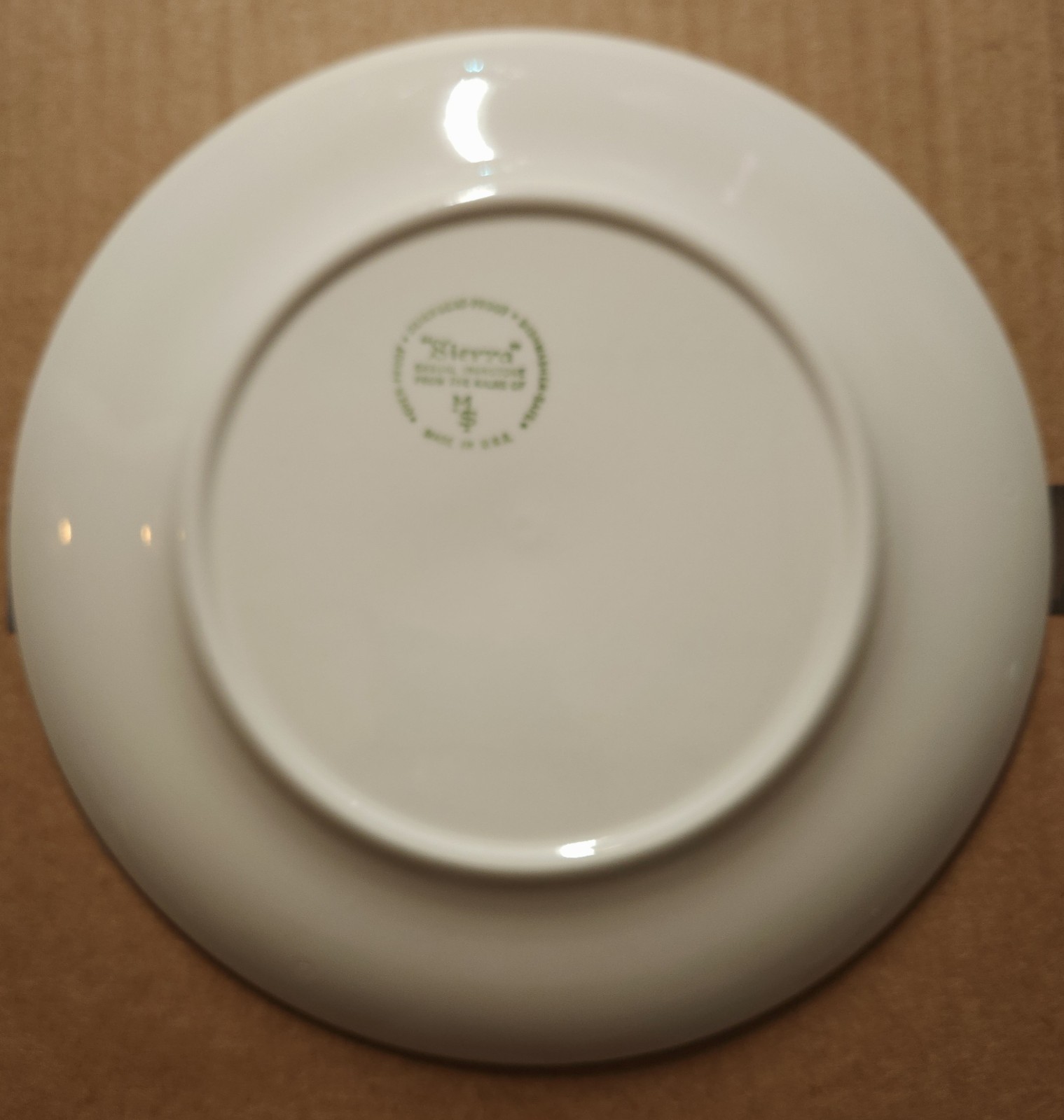 Max Schonfeld Sierra Pattern Ironstone Large Dinner Plate 10.25″