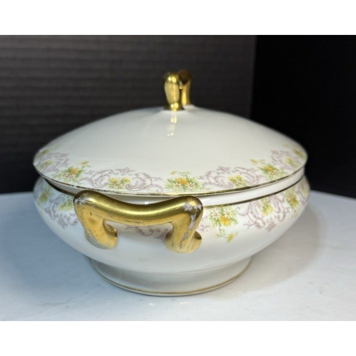 ATQ Limoges Elite Works Bawo & Dotter BWD647 Oval Covered Vegetable Server 12″