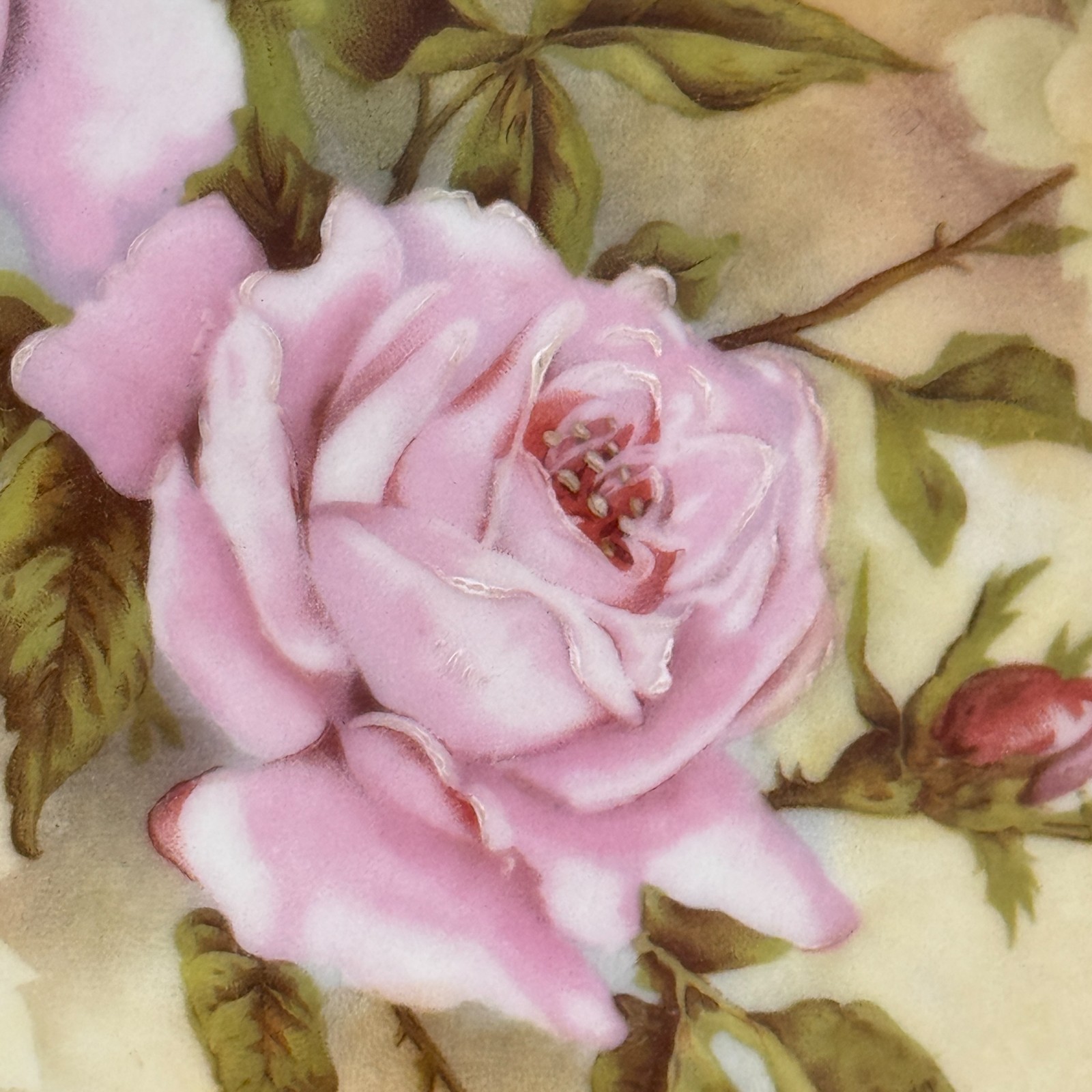 Vintage Alice Austria Pink Rose Oval Handled Porcelain Serving Plate Tray 11″