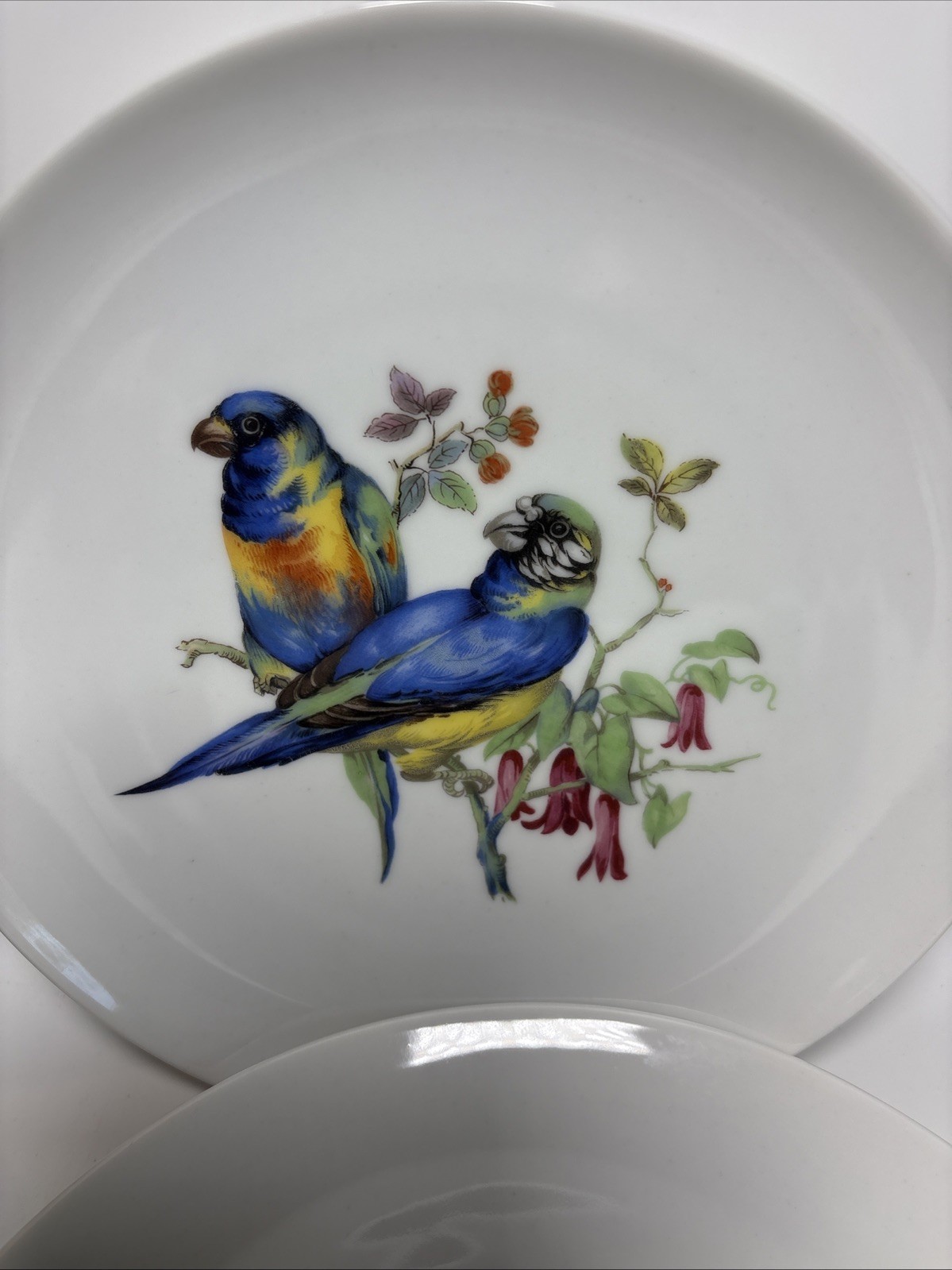 6 Vintage Hand Painted Bird & Floral Porcelain 7 3/4Wall Plates Kaiser W Germany