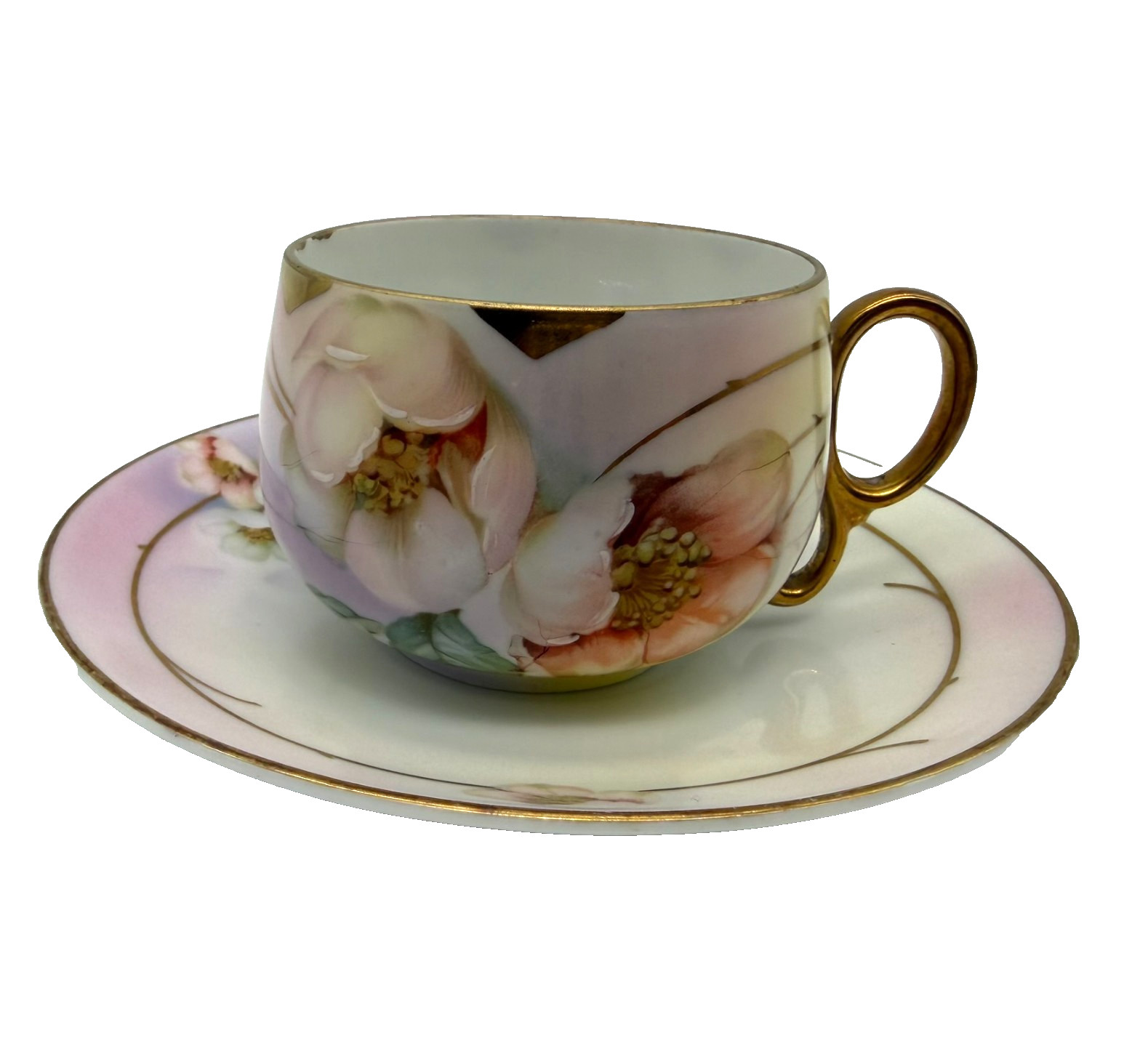 Circa 1905-1931 Royal Rudolstadt Prussia Floral Teacup & Saucer Set