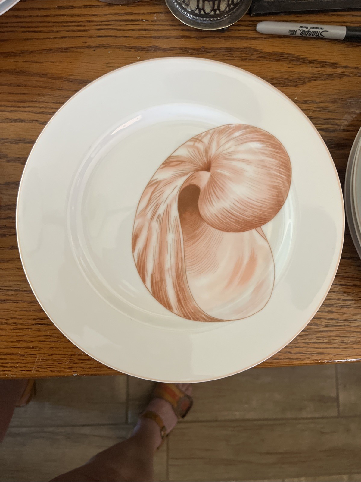 10.25″ dinner plate Coquille pattern Fitz & Floyd pink on white