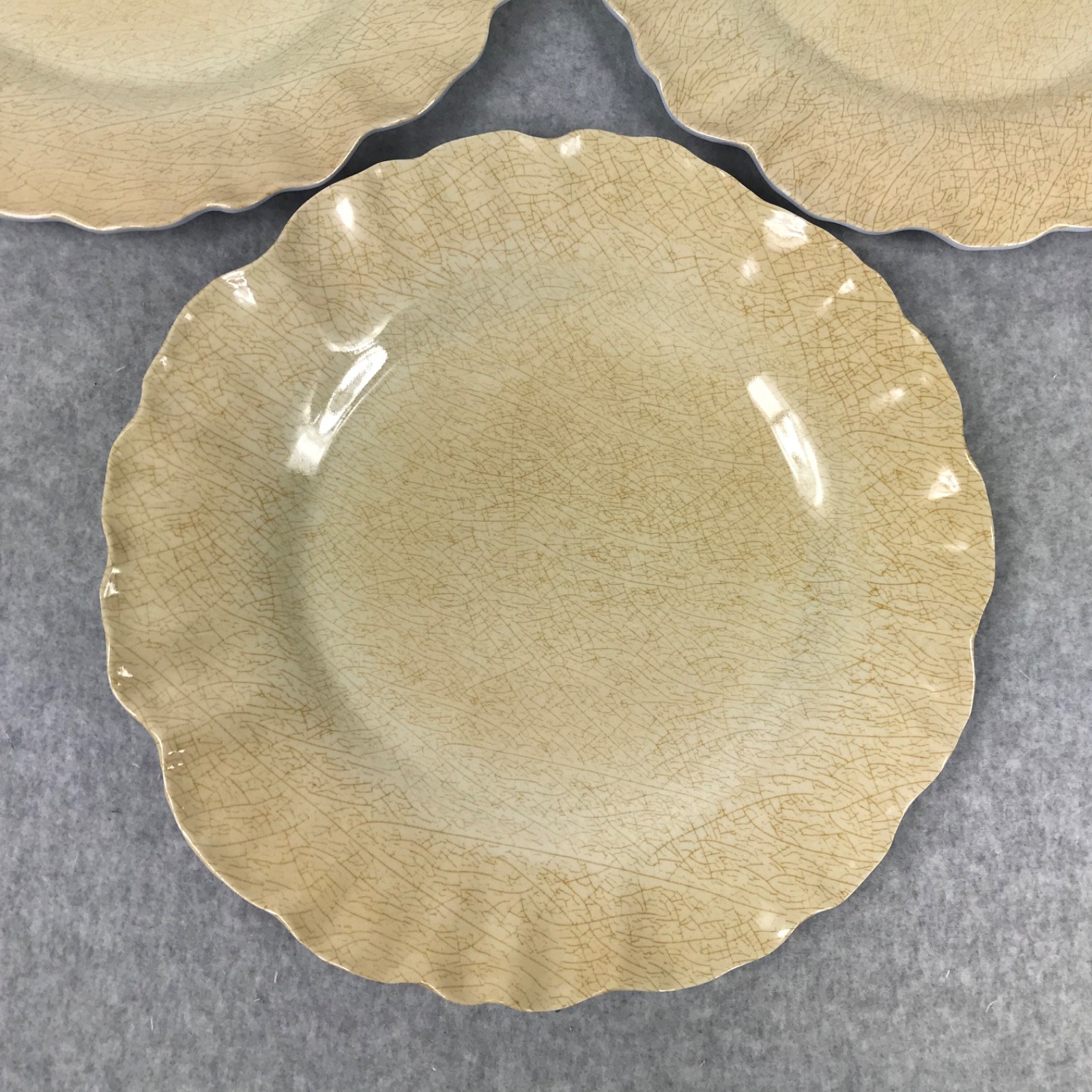 MERRITT Melmine Succulent Garden Mocha Dinner Plates Set of 6 Beige/Golden