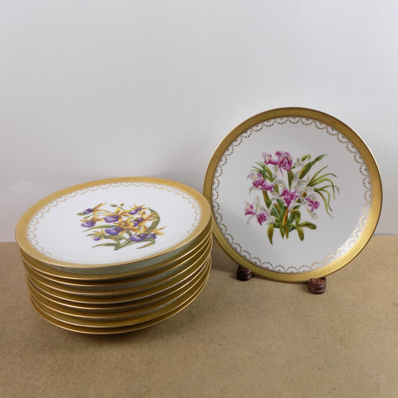 10 Antique T&V Limoges Hand Painted Botanical Plates Ovington Bros New York