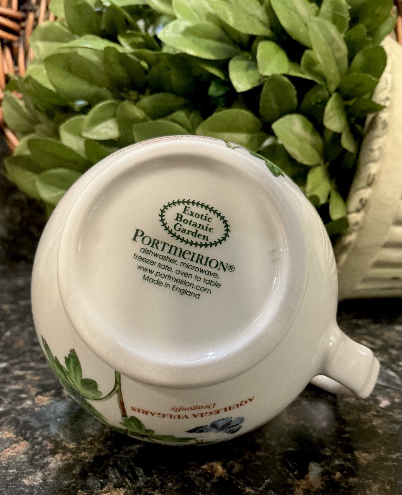 Portmeirion Exotic Botanic Garden DRAGONFLY 8oz Creamer DISC England ~ PRISTINE