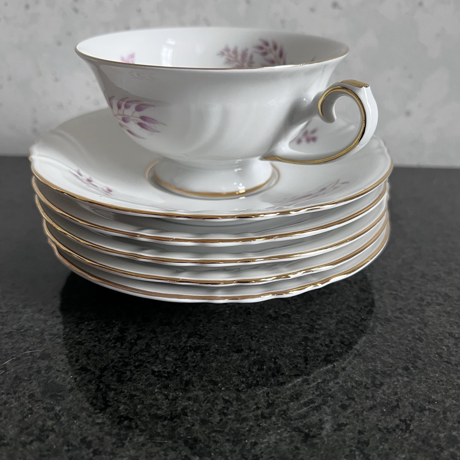 Thomas R Germany Porcelain Tea Cup, Saucer, Dessert Plate Trio Set of 5