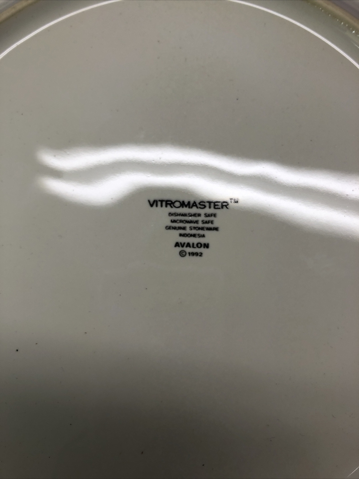Vintage 1992 Avalon by Vitromaster Dinner Plate Fruit Rim Border China Stoneware