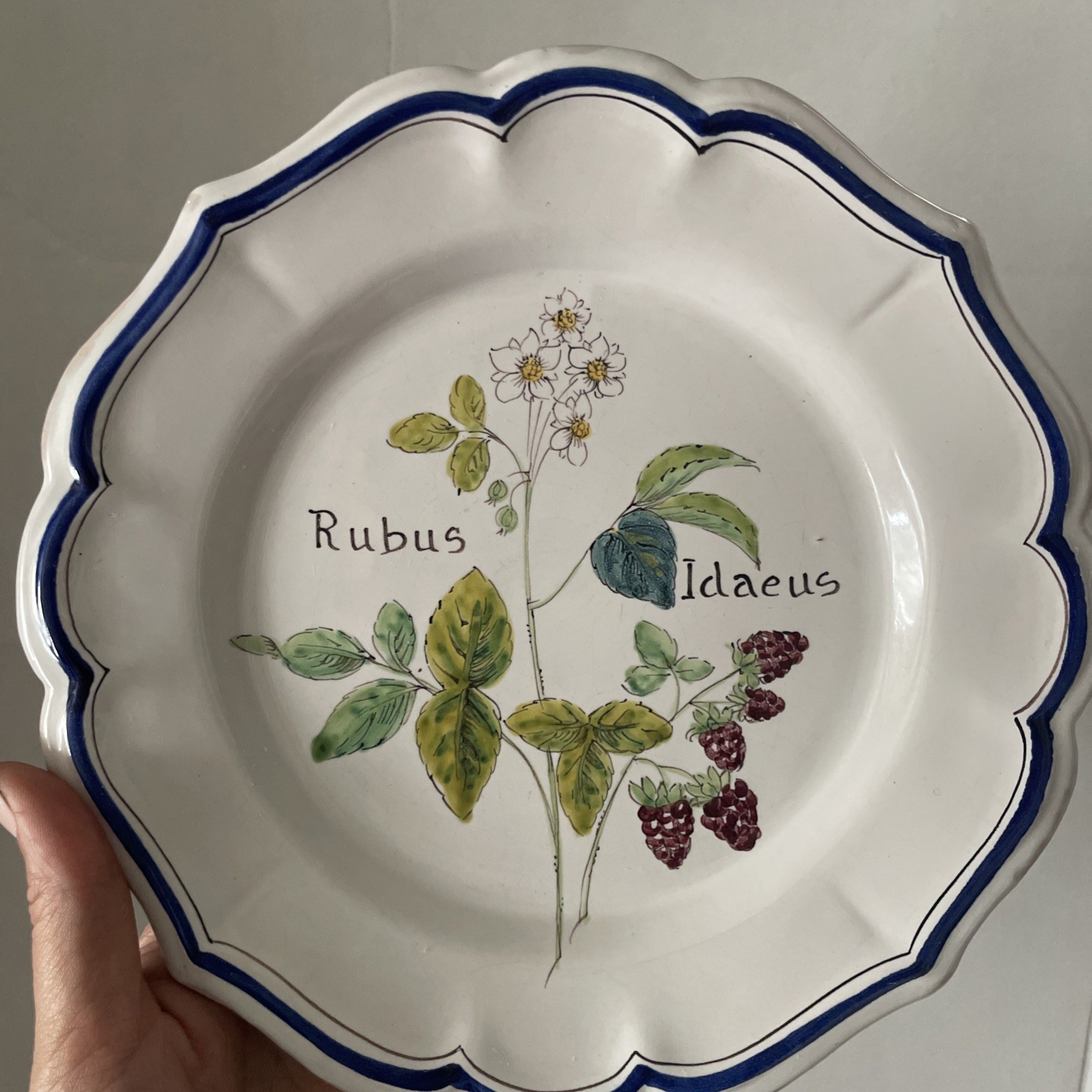 Vintage ND Dolfi Montelupo Italy Floral Wall Plates Set of 2