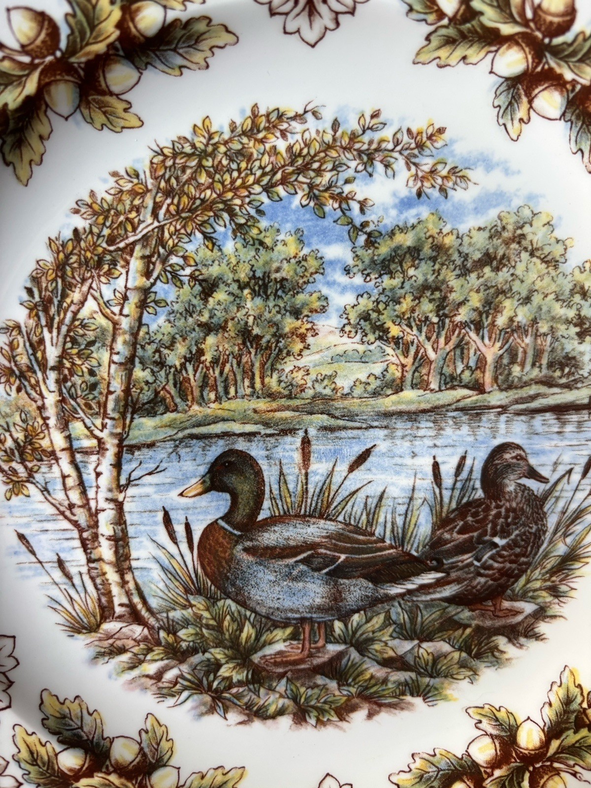 (6) Royal Stafford Woodland Fall Mallard Ducks With Acorns Dinner Plates New