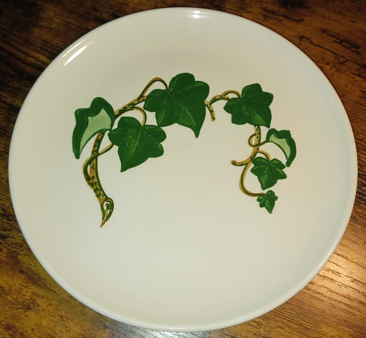 2PC Metlox California Ivy Set 10 3/8″ Dinner Plate & 9 3/8″ Luncheon Plate EUC