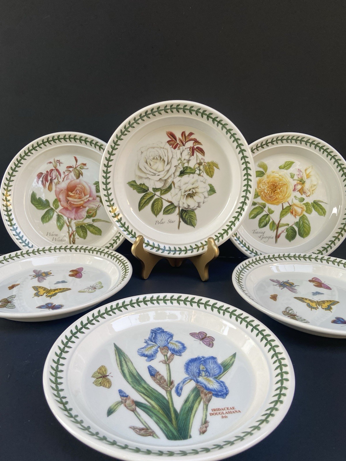 6 Portmeirion Botanic Garden Salad Plates Britain Roses Butterflies 8-1/2”