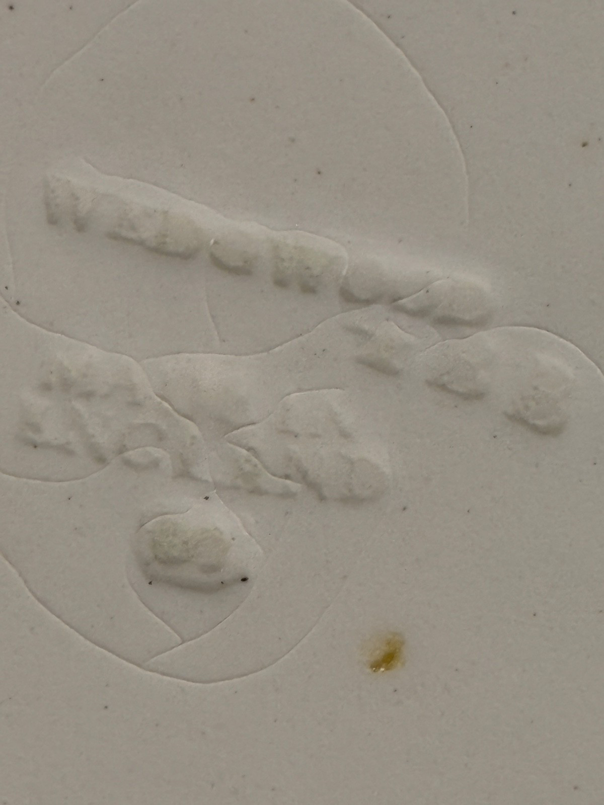 2 Wedgwood QUEENSWARE Embossed 10.25″ DINNER PLATES 1969 Vintage Vine Garland