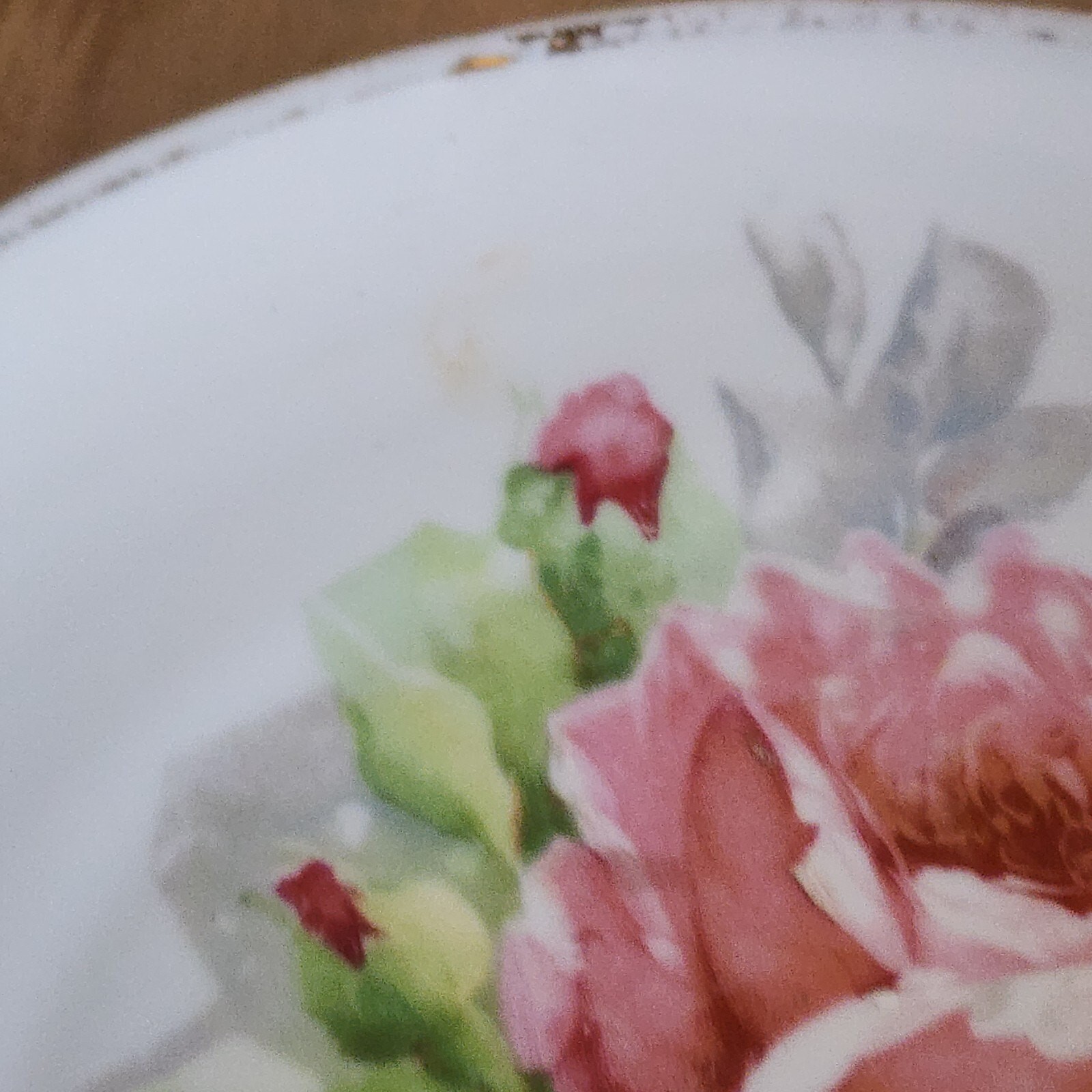 1899-1918 Antique Floral Hand Painted Plate 8 3/4″ O & E G Royal Austria