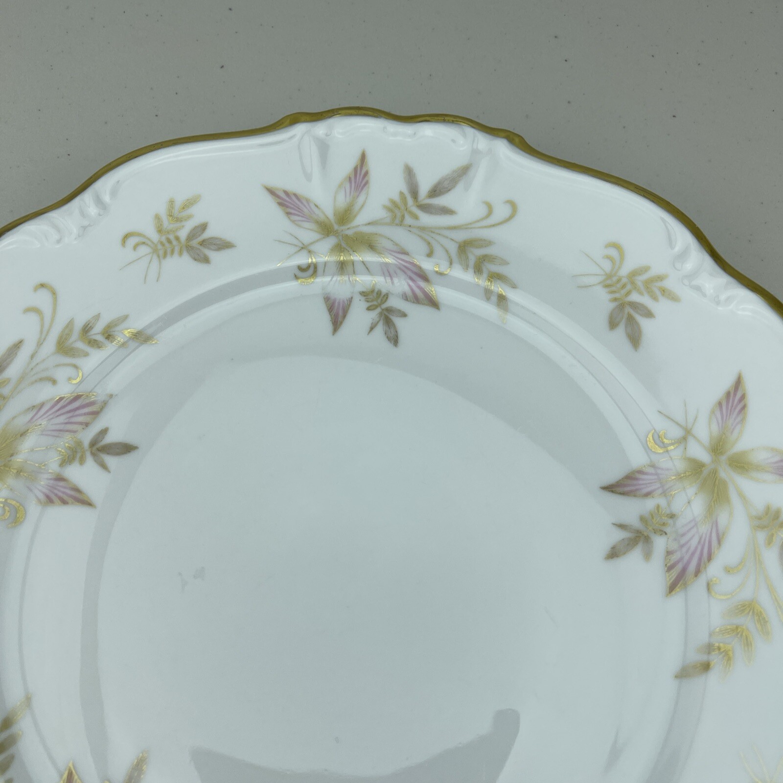 Edelstein Bavaria Maria-Theresia OAKLAND 19705 30 Dinner Plate 10″