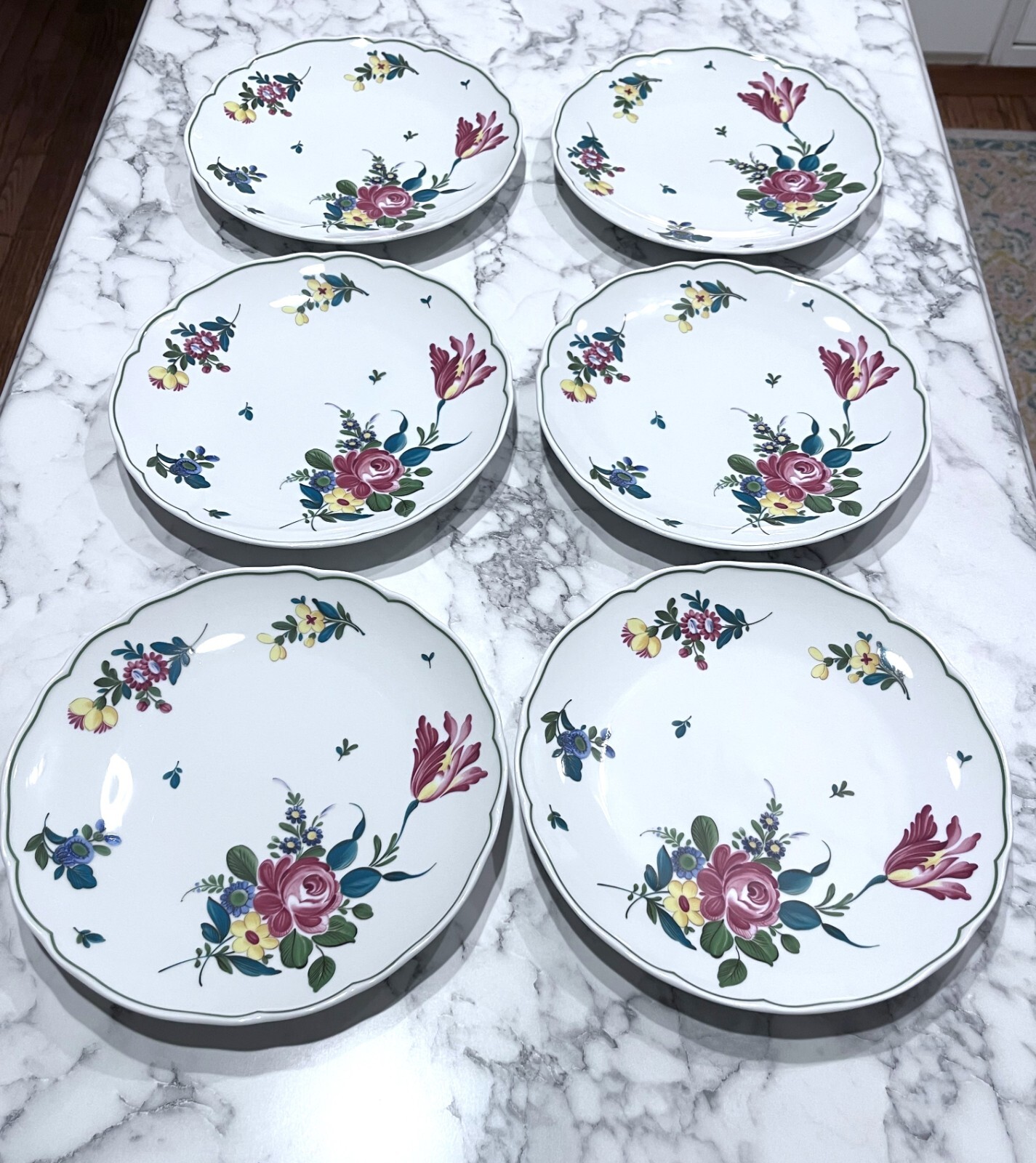6 Hutschenreuther Engadin Maria Theresa Hotel 9 1/2″ Plates Germany Scarce EC!