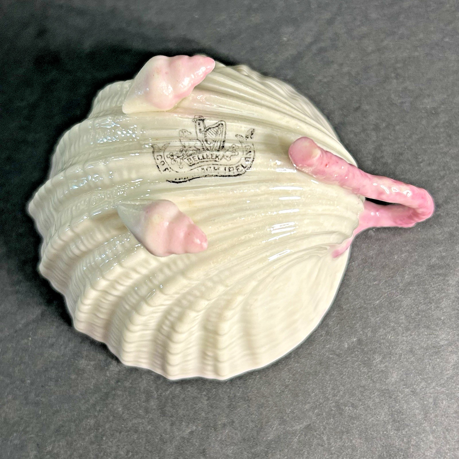 Antique Belleek Neptune Pink Shell Teacup 2nd Black Mark Cup Only Ireland