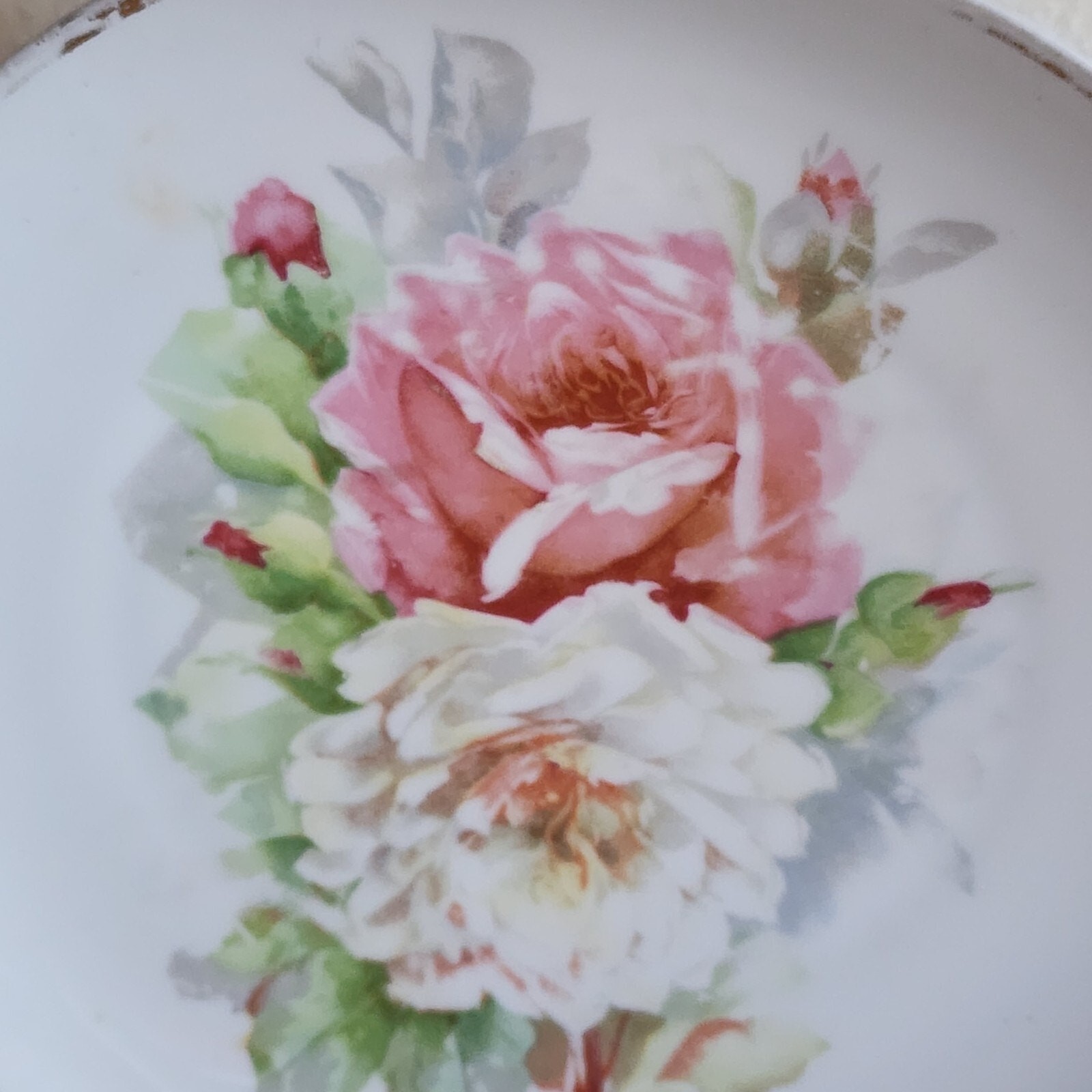 1899-1918 Antique Floral Hand Painted Plate 8 3/4″ O & E G Royal Austria