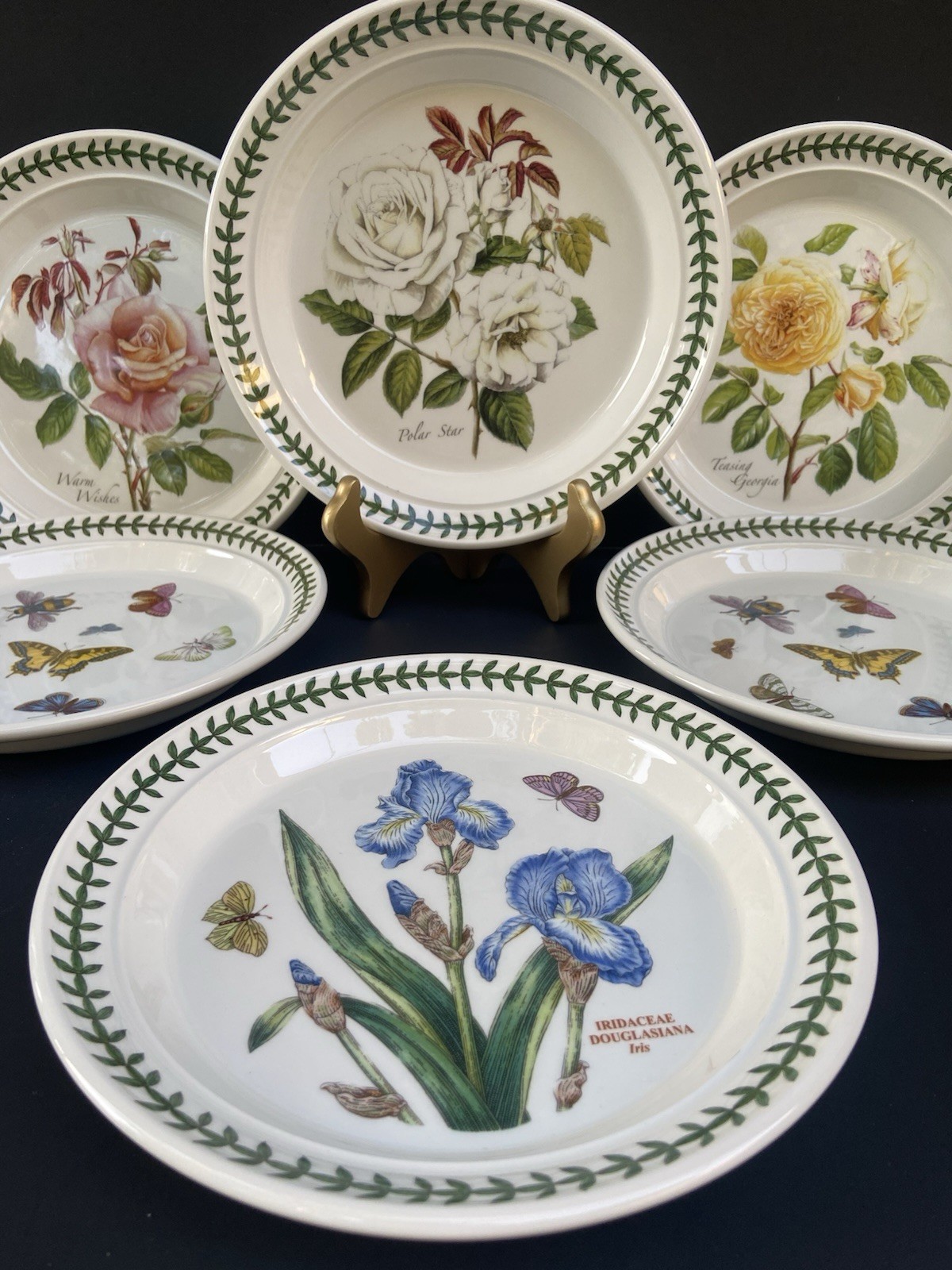 6 Portmeirion Botanic Garden Salad Plates Britain Roses Butterflies 8-1/2”