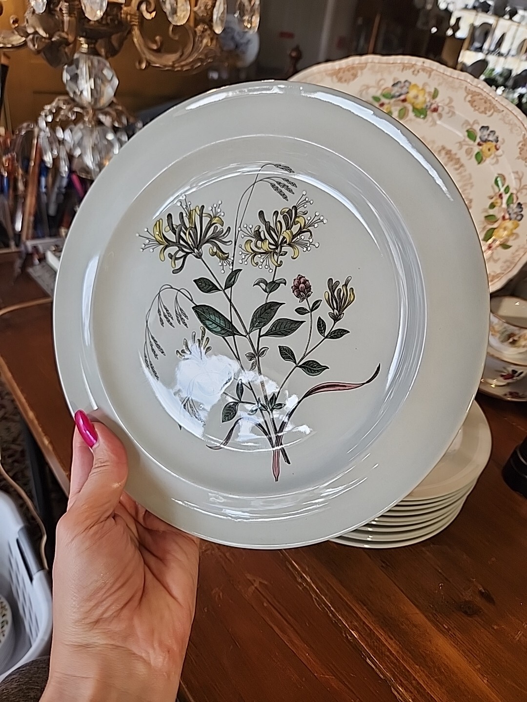 Botanical Wedgwood Etruria Country Lane Dinner Plate, Vintage Farmhouse Country