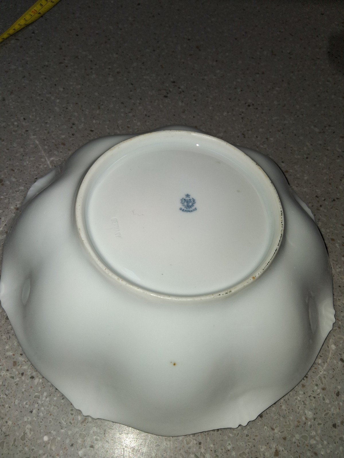 RS PRUSSIA GERMANY ANTIQUE BERRY SET (DOGWOOD PATTERN) Gorgeous patina