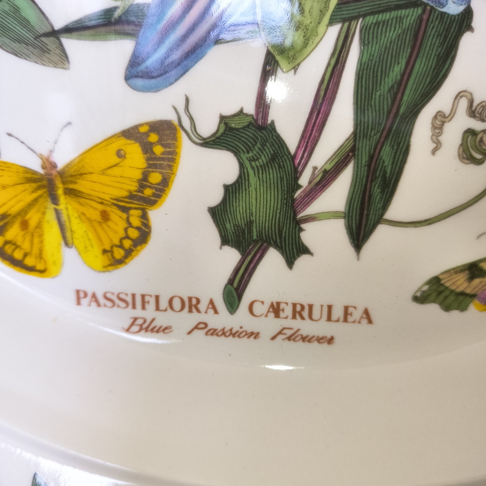 Portmeirion 12″ Serving Platter Botanical Garden Passion Flowers 1972