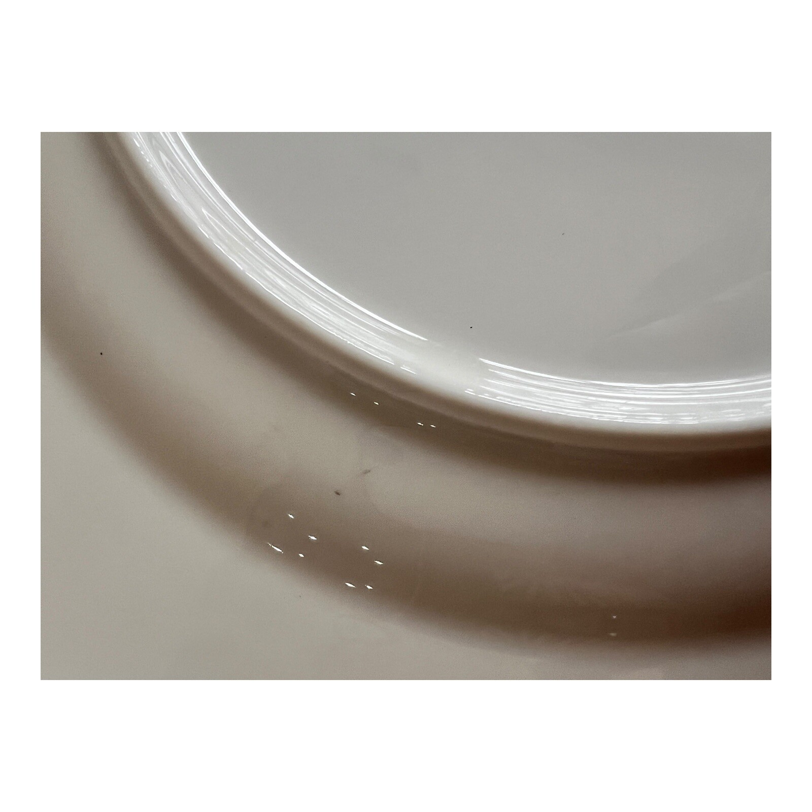Syracuse Minuet Fine China 10.75″ Plate White w Blue Leaves Vines Platinum Edge