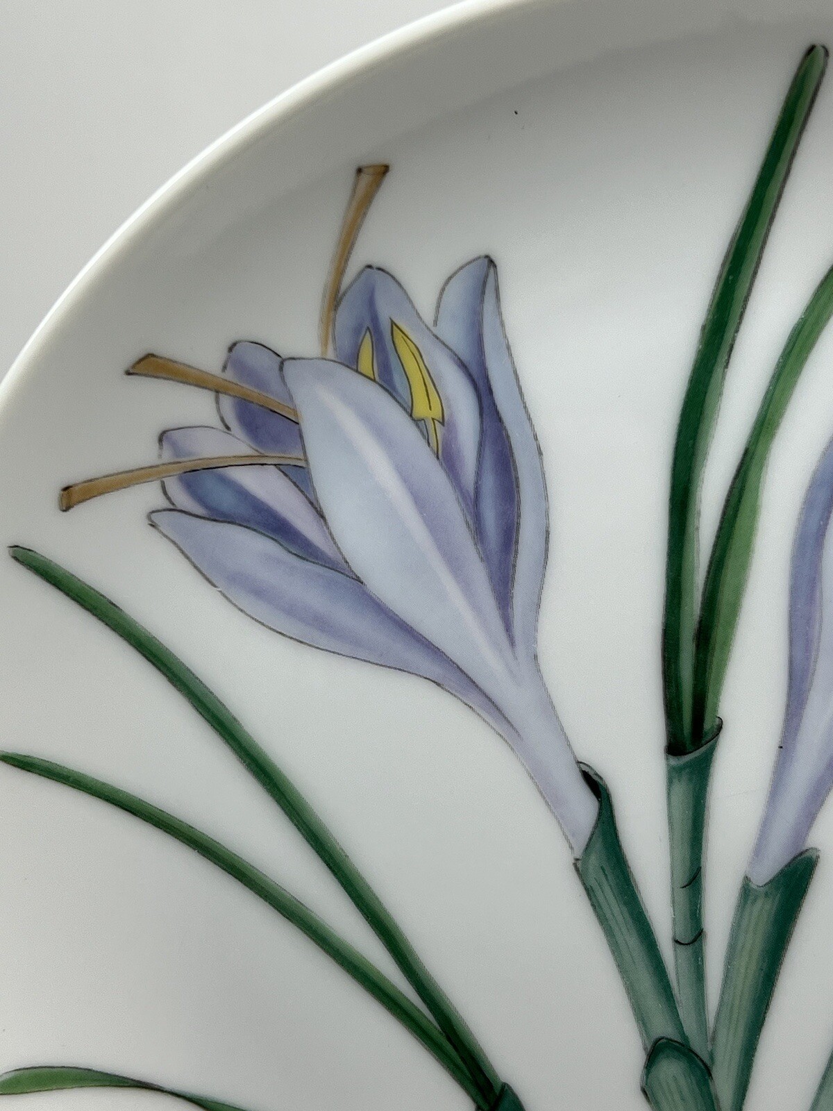 Horchow Botanical Herb Seed Salad Plate Saffron Has Chip See Picture!