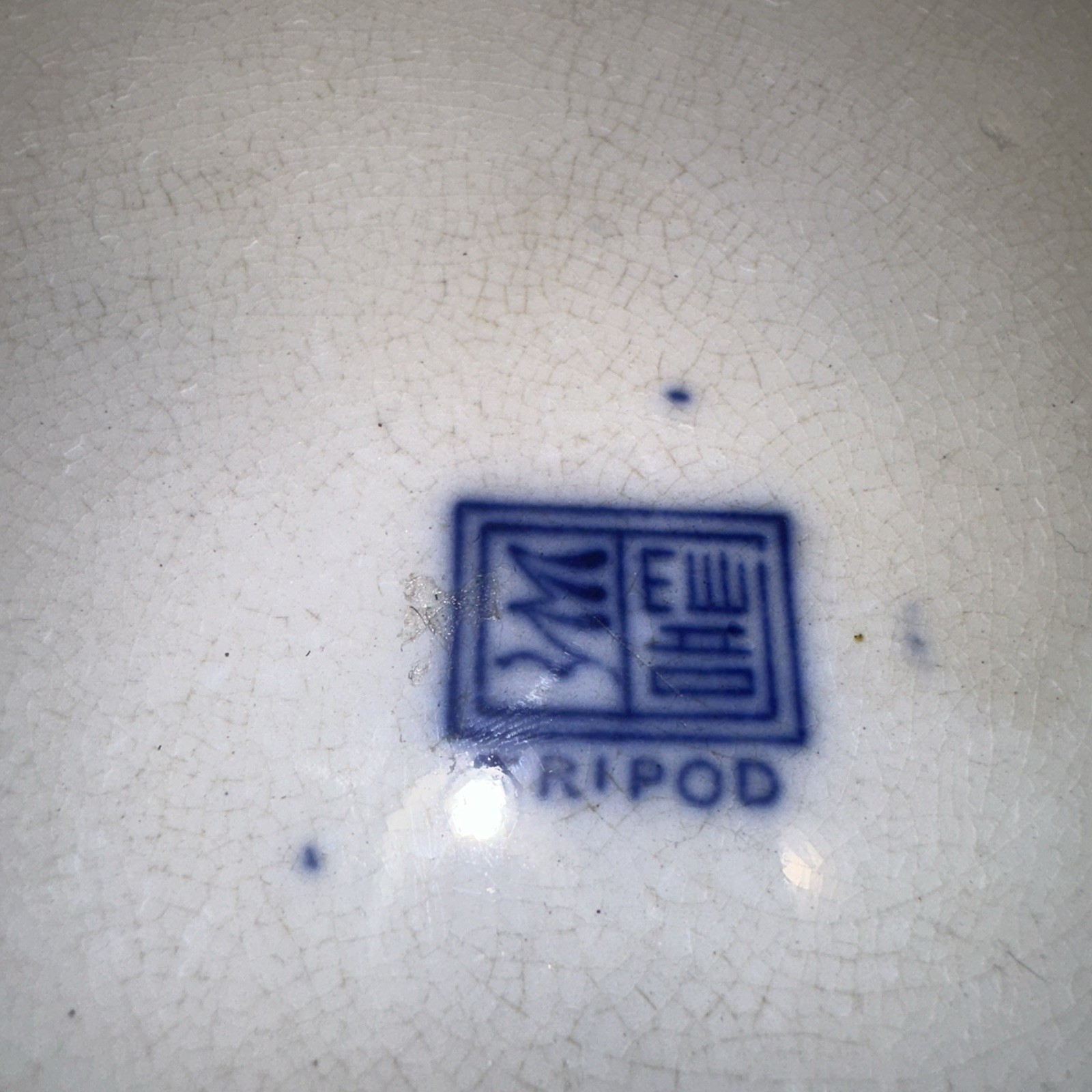 Antique c1910 Porcelain POLYCHROME FLOW BLUE 10 1/4” Plate Marked TRIPOD