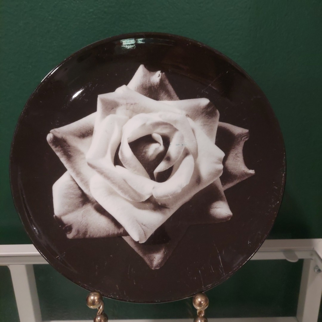 4 Wedgwood NIGHT & DAY BLOOMERS Black White Daisy Rose Salad Plates 8 1/8 Inches
