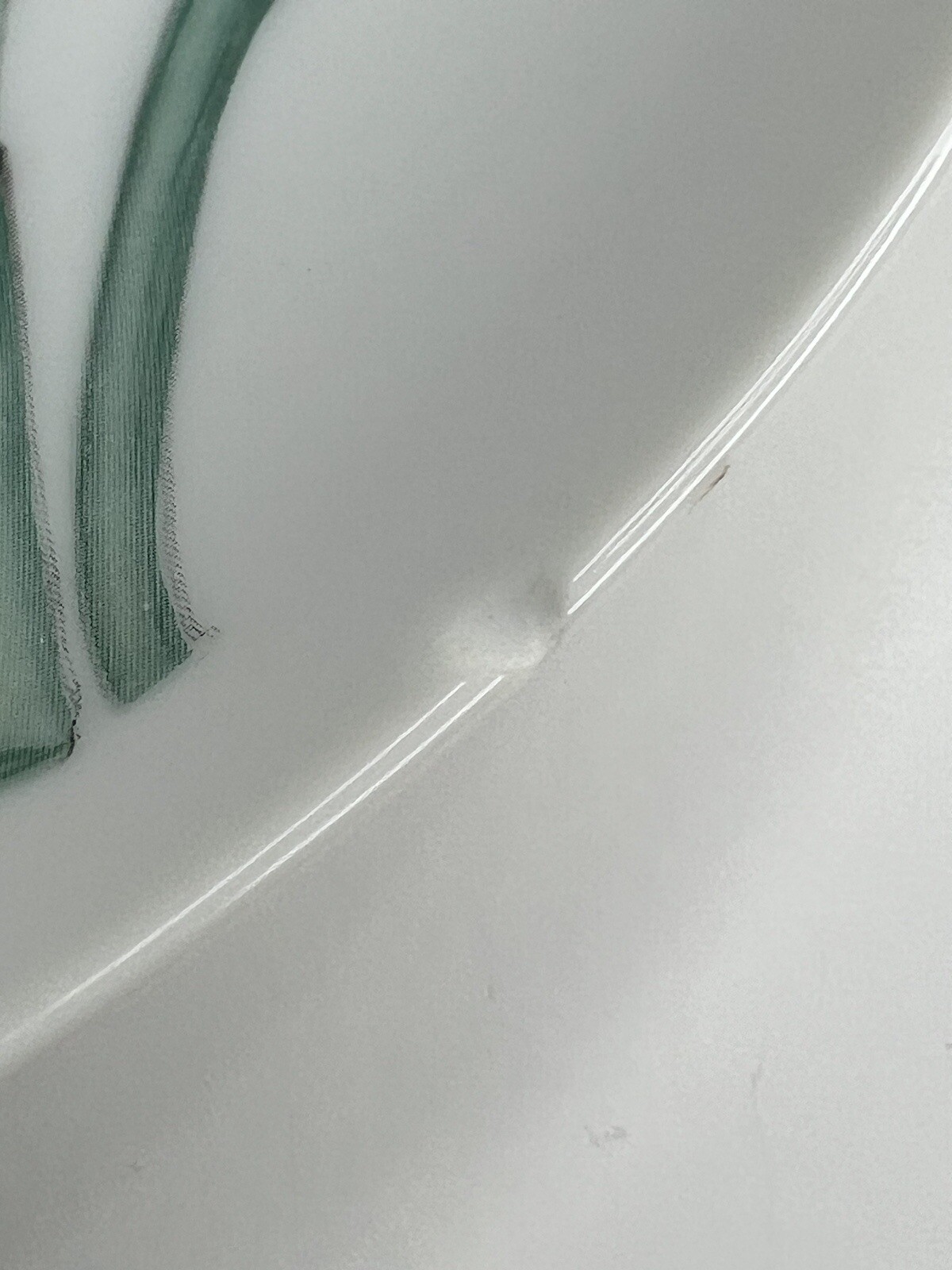 Horchow Botanical Herb Seed Salad Plate Saffron Has Chip See Picture!