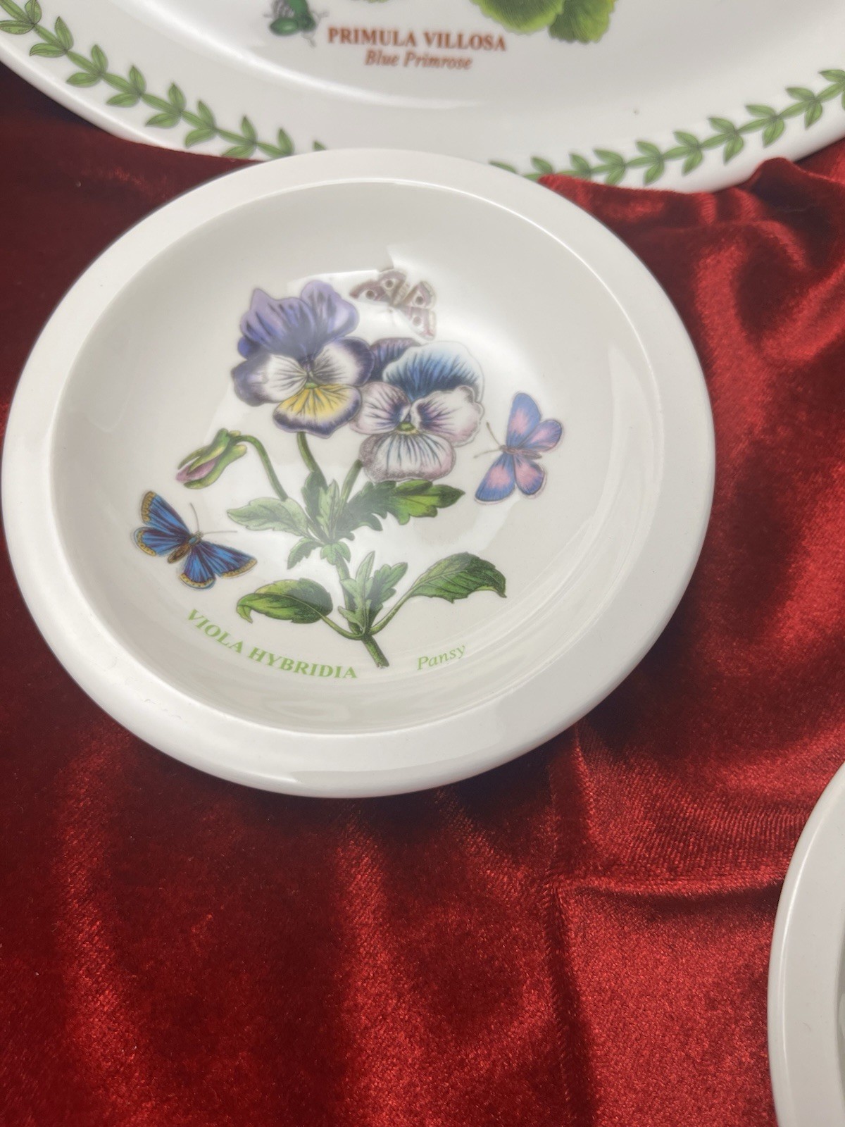 Portmeirion Botanic Garden Lot (4) Pc Set 2 Oval Plates 2 Saucer Dip Plates