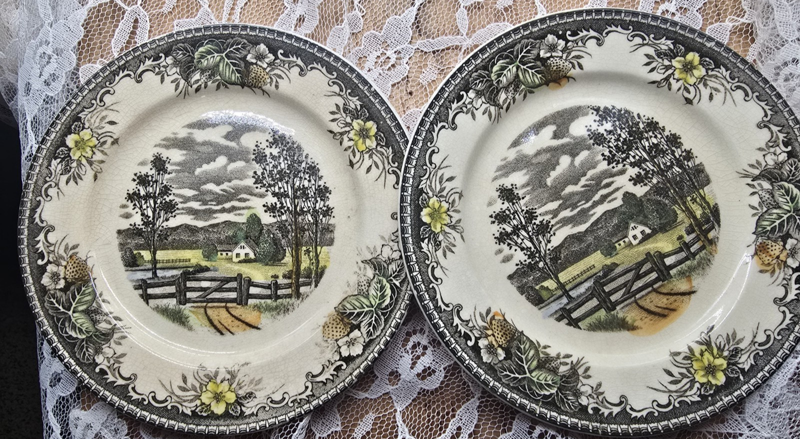 Lot antique & vintage FLoral China plate Creamer saucer trinket pitcher sugar