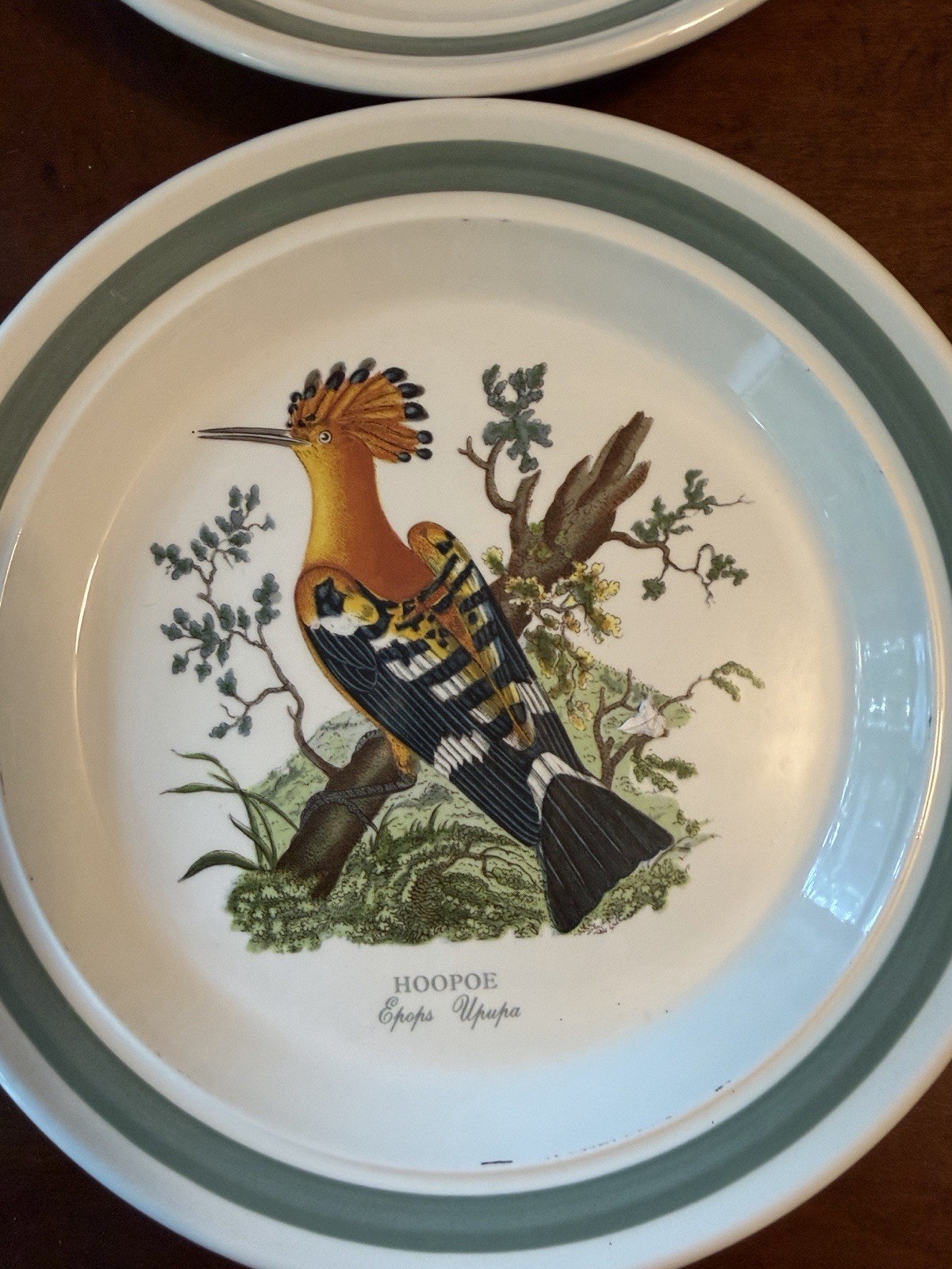 Portmeirion Birds of Britain Ceramic Salad Plates Green Rim 8 in Set of 6