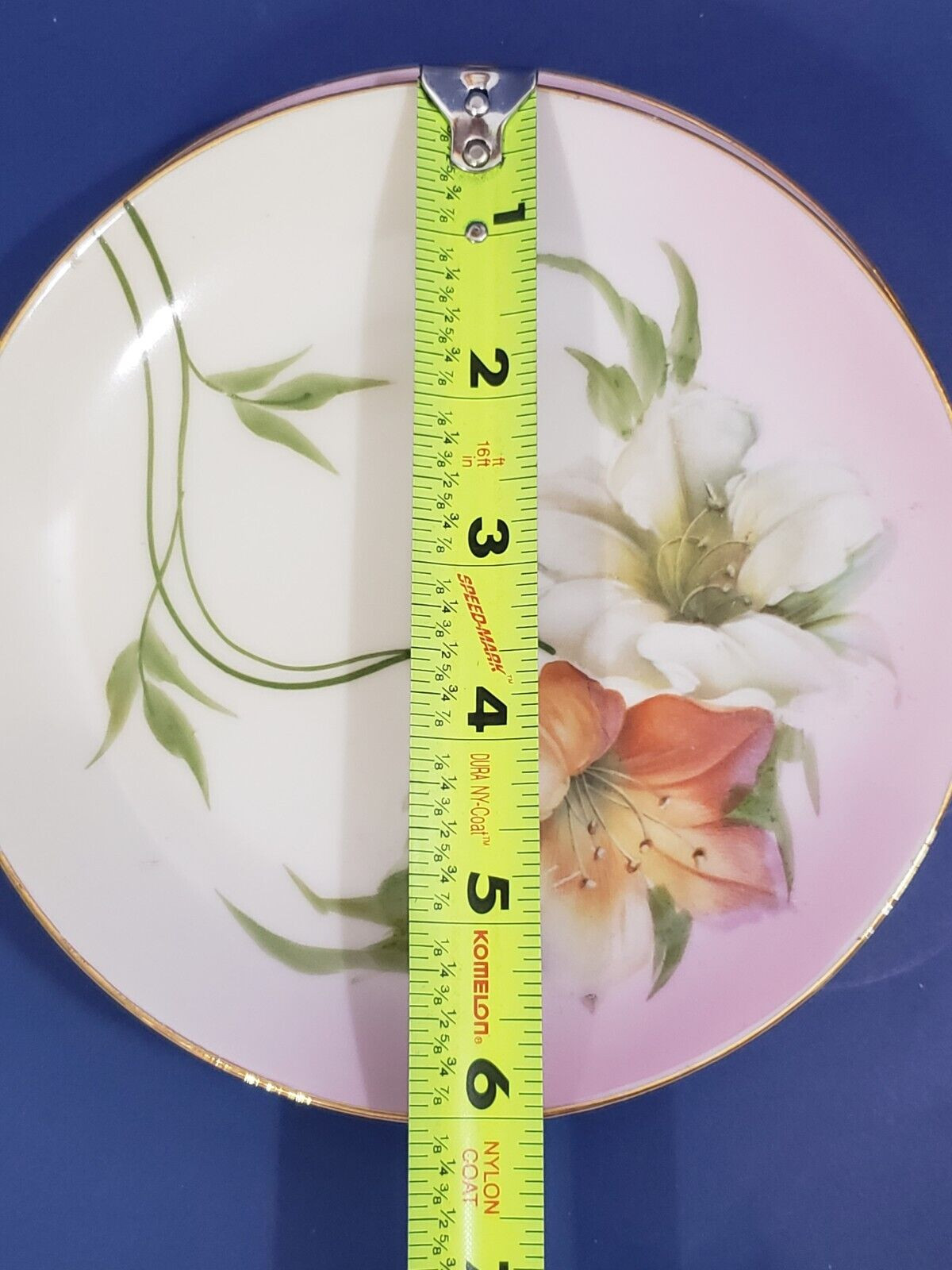 Two Antique Vintage Bavarian Plates Z.S. & Co Hand Painted Porcelain 1880- 1918