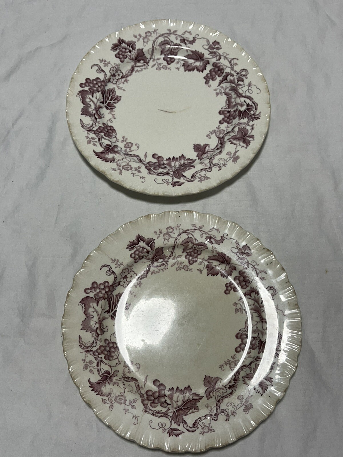 Wedgwood Old Vine Of Etruria & Barlaston 2 Salad Plates 8 1/8in Made In England