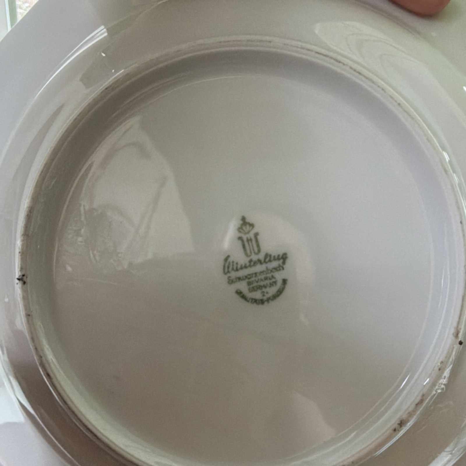 Winterling Germany Blue Floral Porcelain Soup Plates Four-Piece Set