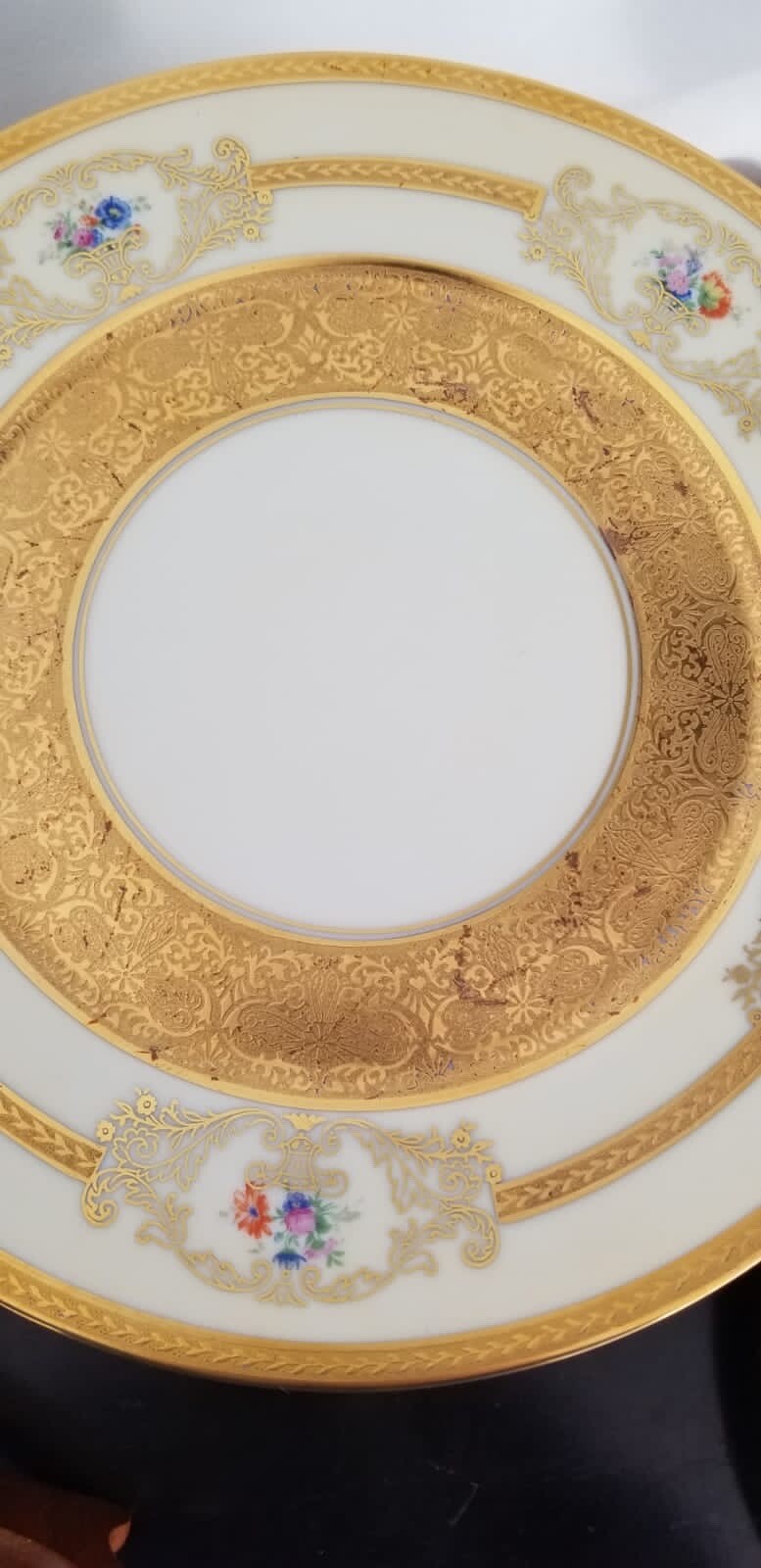 Set Of 12 Bohemian Gilt Porcelain Czeck Dinner Plates e/ Floral Design D 11”