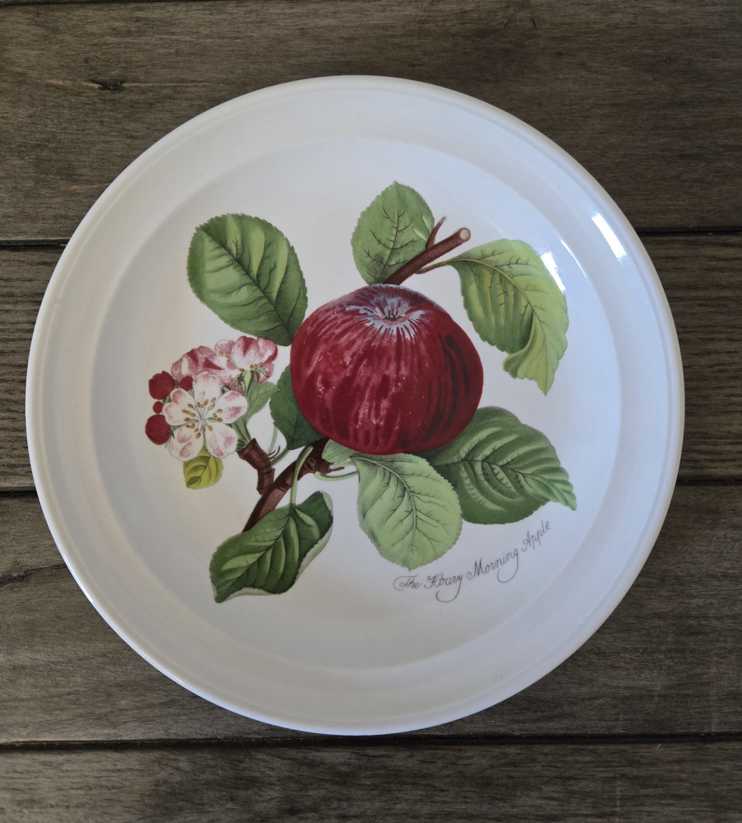Set of 4 Vintage Portmeirion England Pomona Plates 7.35″ Apricot Apple Pear